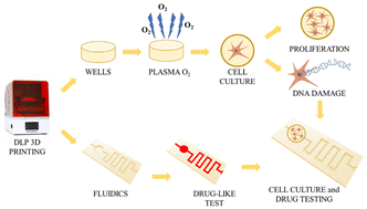 3D printable acrylate polydimethylsiloxane resins for cell culture and ...