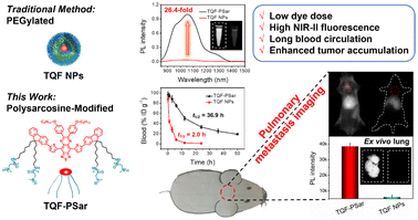 Graphical abstract: Stealth-like polysarcosine-modified nanoparticles with low dye doses and long blood circulation for efficient breast cancer pulmonary metastasis imaging