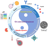 Graphical abstract: Bio-responsive and multi-modality imaging nanomedicine for osteoarthritis theranostics