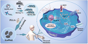 Graphical abstract: Oxygen vacancy healing boosts the piezoelectricity of bone scaffolds