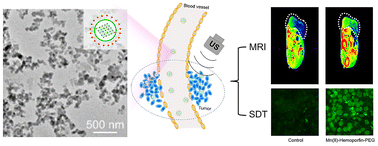 Graphical abstract: Mn(ii)–hemoporfin-based metal–organic frameworks as a theranostic nanoplatform for MRI-guided sonodynamic therapy