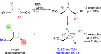 Graphical abstract: Synthesis of 2-substituted bicyclo[1.1.0]butanes via zincocyclopropanation using bromoform as the carbenoid precursor