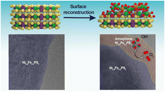 Graphical abstract: Unraveling the surface self-reconstruction of Fe-doped Ni-thiophosphate for efficient oxygen evolution reaction