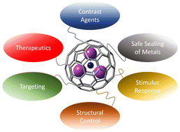 Graphical abstract: Water-soluble endohedral metallofullerenes: new horizons for biomedical applications