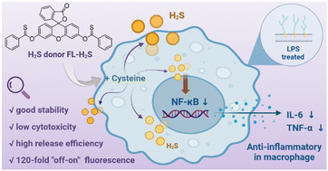 Graphical abstract: A new dual functional H2S donor for fluorescence imaging and anti-inflammatory application