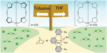 Graphical abstract: Influence of solvent on cyclic polynorbornene tacticity