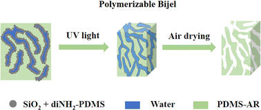 Graphical abstract: Polymerizable bijels prepared by a direct-mixing method