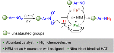 Graphical abstract: Visible-light-induced iron-catalyzed reduction of nitroarenes to anilines