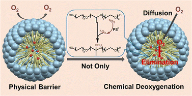 Graphical abstract: Photochemically deoxygenating micelles for protecting TTA-UC against oxygen quenching