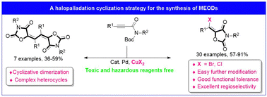 Graphical abstract: Construction of 5-methyleneoxazolidine-2,4-diones bearing modifiable halogen groups through a halopalladation strategy