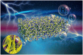 Graphical abstract: Rapid construction of Co/CoO/CoCH nanowire core/shell arrays for highly efficient hydrogen evolution reaction