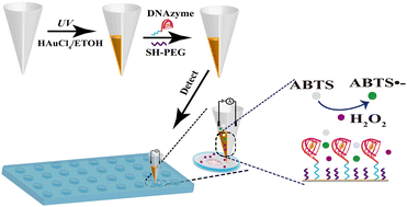 Graphical abstract: In situ monitoring of ROS secretion from single cells with a dual-nanopore biosensor