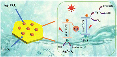 Graphical abstract: Facile fabrication of a SnS2/Ag3VO4 Z-scheme heterojunction for boosting visible-light photocatalytic activity