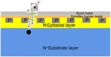 Graphical abstract: Effects of defects in a 4H-SiC material on the breakdown behavior of a Schottky barrier diode