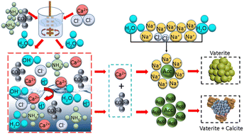 Graphical abstract: Influence of Na+ on vaterite formation, content and yield using steamed ammonia liquid waste as a calcium source