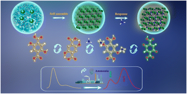 Graphical abstract: A dual-emission Tb-based MOF induced by ESPT for ratiometric ammonia sensing