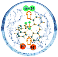 Graphical abstract: Electrocatalytic hydrogen production activity with a copper(ii)-dipyridylamine complex in acidic water