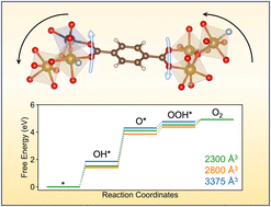 Graphical abstract: Catalytic activities modulated by flexible bimetallic metal–organic frameworks