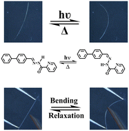 Graphical abstract: Dual control of passive light output direction by light and mechanical forces in elastic crystals