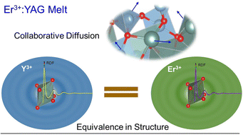 Graphical abstract: Localization effect for doping and collaborative diffusion in Er3+:YAG melt