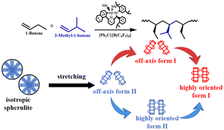 Graphical abstract: Utilizing 3-methyl-1-butene co-units to tailor phase transition behavior in butene-1 copolymers