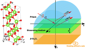 Graphical abstract: Giant photonic spin Hall effect induced by hyperbolic shear polaritons