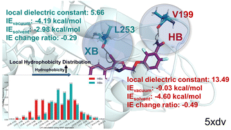 Graphical abstract: Preferred microenvironments of halogen bonds and hydrogen bonds revealed using statistics and QM/MM calculation studies