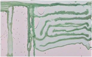 Graphical abstract: A microfluidic labyrinth self-assembled by a chemical garden