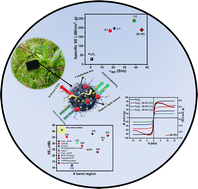 Graphical abstract: High-performance EMI shielding effectiveness of Fe3O4–3D rPC nanocomposites: a systematic optimization in the X-band region