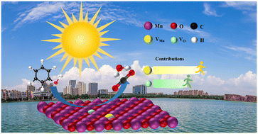 Graphical abstract: The quantitative contribution of interfacial coexisting Mn and O vacancies to MnO2 photocatalytic degradation of phenol