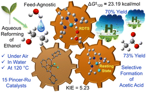 Graphical abstract: Reforming of ethanol to hydrogen and acetic acid catalyzed by pincer-ruthenium complexes