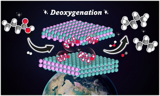 Graphical abstract: DFT insights into crystal plane effects of molybdenum phosphide (MoP) on the catalytic performance in deoxygenation of palmitic acid