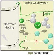 Graphical abstract: Electrostatic induction promotes photocatalytic contaminant mineralization in saline wastewater