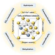 Graphical abstract: Recent advancements in CeO2-enabled liquid acid/base catalysis