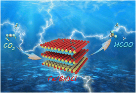 Graphical abstract: Single-atom iron doped BiOCl atomic layers to promote efficient CO2 electroreduction towards formate