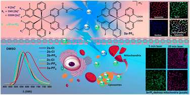 Graphical abstract: A new family of luminescent iridium complexes: synthesis, optical, and cytotoxic studies