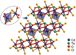 Graphical abstract: Synthesis, structure and characterization of Cd2TeO3Cl2 with unprecedented [Cd2O6Cl4] octahedral dimers