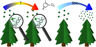 Graphical abstract: The effect of temperature and relative humidity on secondary organic aerosol formation from ozonolysis of Δ3-carene