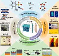 Graphical abstract: Toward practical anode-free lithium pouch batteries