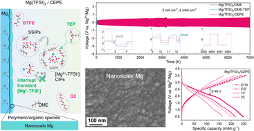 Graphical abstract: A weakly ion pairing electrolyte designed for high voltage magnesium batteries