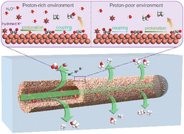 Graphical abstract: Selective CO2 electroreduction to multicarbon products exceeding 2 A cm−2 in strong acids via a hollow-fiber Cu penetration electrode