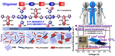 Graphical abstract: Oligomeric semiconductors enable high efficiency open air processed organic solar cells by modulating pre-aggregation and crystallization kinetics