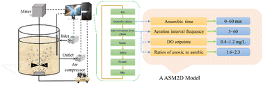 Graphical abstract: Functional guild dynamics in a single-sludge shortcut nitrogen and phosphorus removal reactor: a modeling study