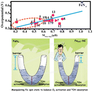 Graphical abstract: Manipulating the spin state to activate the atomically dispersed Fe–N–C catalyst for oxygen reduction