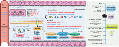 Graphical abstract: Black chokeberry (Aronia melanocarpa L.) polyphenols attenuate obesity-induced colonic inflammation by regulating gut microbiota and the TLR4/NF-κB signaling pathway in high fat diet-fed rats