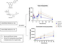 Graphical abstract: Nutrikinetics and urinary excretion of phenolic compounds after a 16-week supplementation with a flavanone-rich ingredient