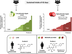 Graphical abstract: Assessment of human inter-individual variability of phloretin metabolites in urine after apple consumption. AppleCOR study