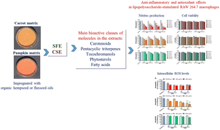 Graphical abstract: The ability of supercritical CO2 carrot and pumpkin extracts to counteract inflammation and oxidative stress in RAW 264.7 macrophages stimulated with LPS or MDA-MB-231 cell-conditioned media