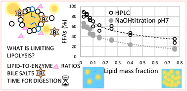 Graphical abstract: In vitro digestion of high-lipid emulsions: towards a critical interpretation of lipolysis