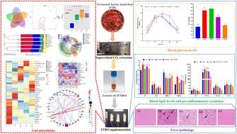 Graphical abstract: Effects of extracted oil of fermented Tartary buckwheat on lipid-lowering, inflammation modulation, and gut microbial regulation in mice